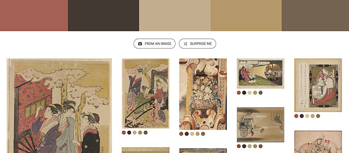 Elige tu paleta de color para tu branding visual